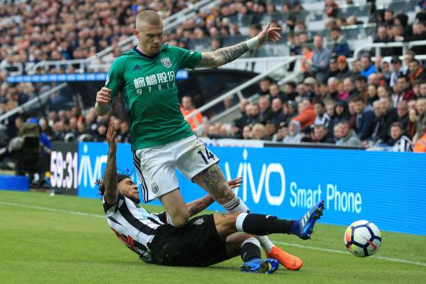 数量可以培 数量可以培